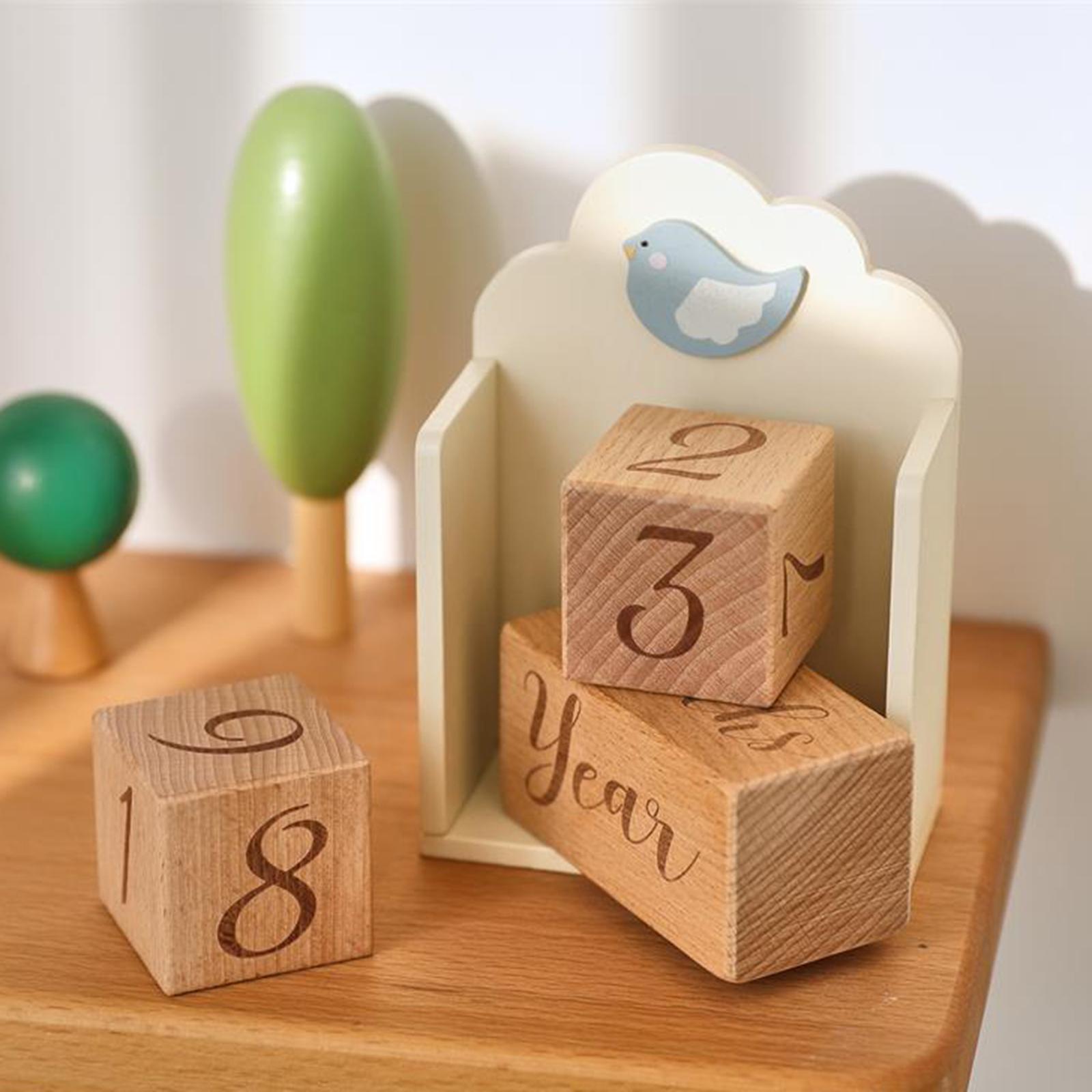 Blocs d'âge de jalon en bois p - Baby Nursery Age avis et prix