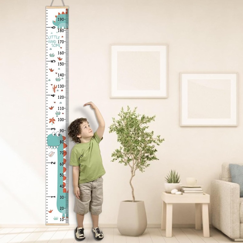 Tableau de croissance de la ha - Growth Chart Ruler avis et prix