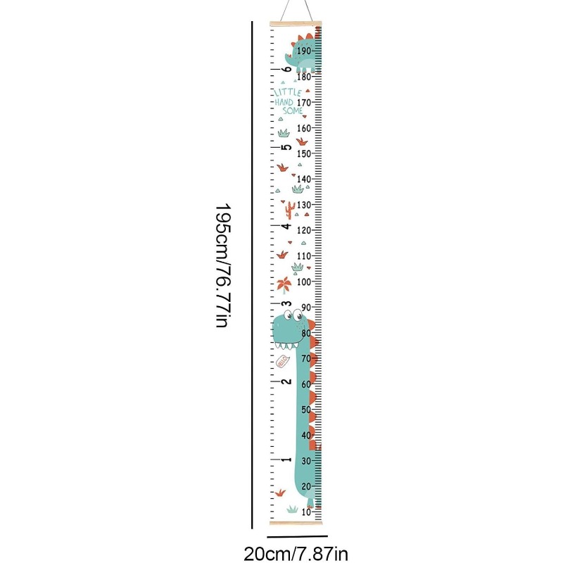 Tableau de croissance de la ha - Growth Chart Ruler avis et prix